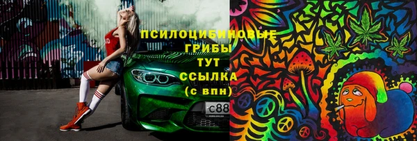 ГАЛЛЮЦИНОГЕННЫЕ ГРИБЫ Семилуки